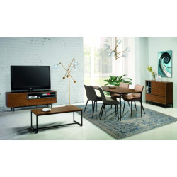 Muebles salón singulares